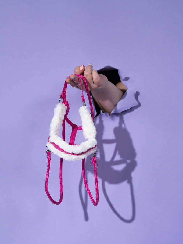 Hobby Horse Halfter